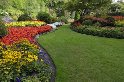 Vibrant Garden Design