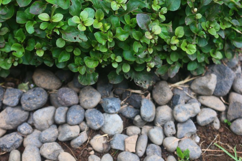 River Rocks Landscaping