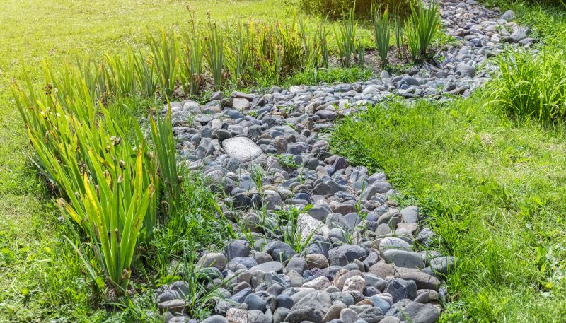 Summer River Rocks Feature